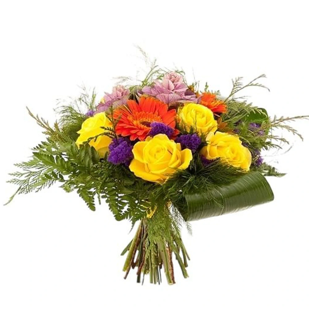 Kolorit Ruža, Gerbera, Statica a Chryzantéma