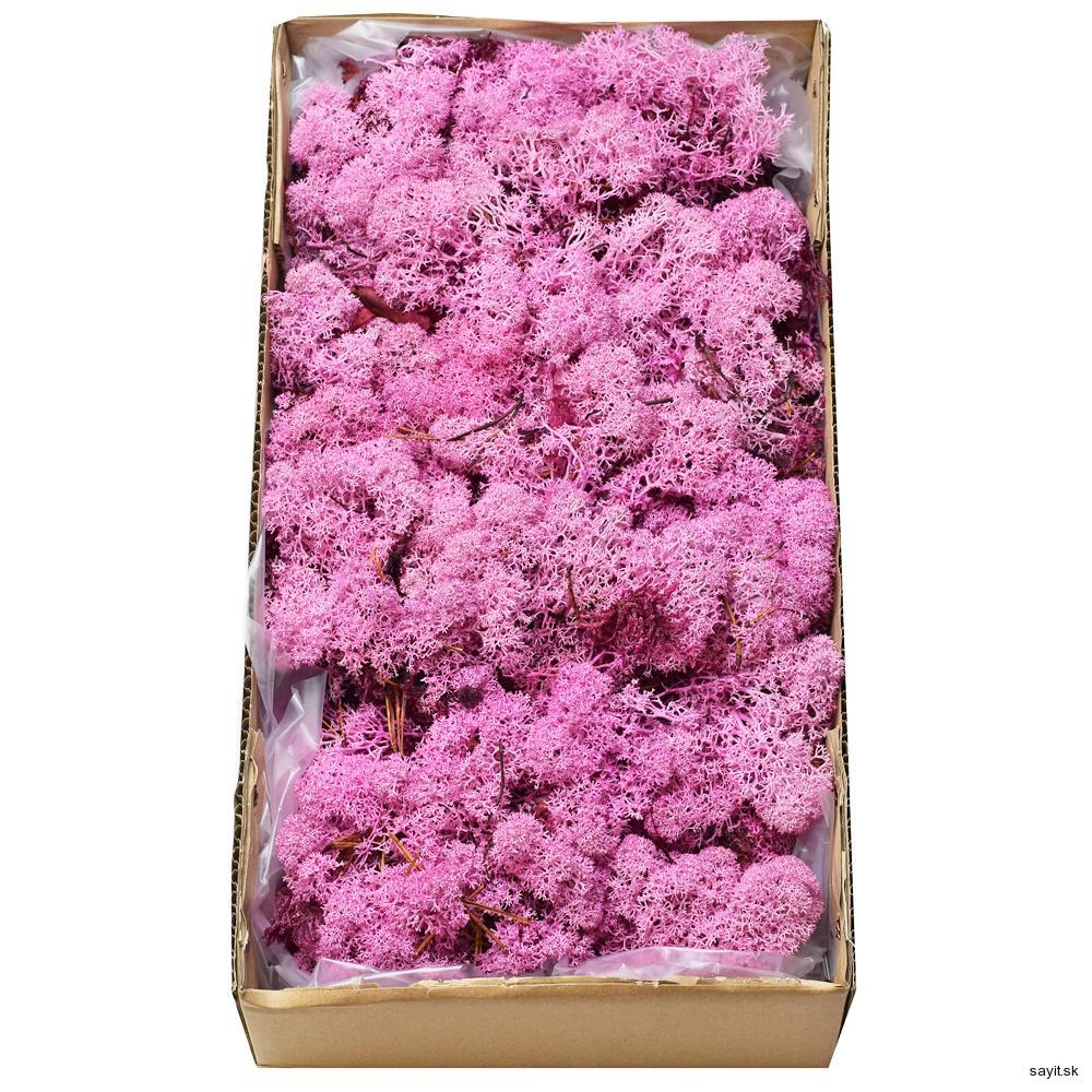 Mach preparovaný lišajník 500g  - Rose