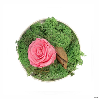 Machový aranžmán kruh Pink Rose